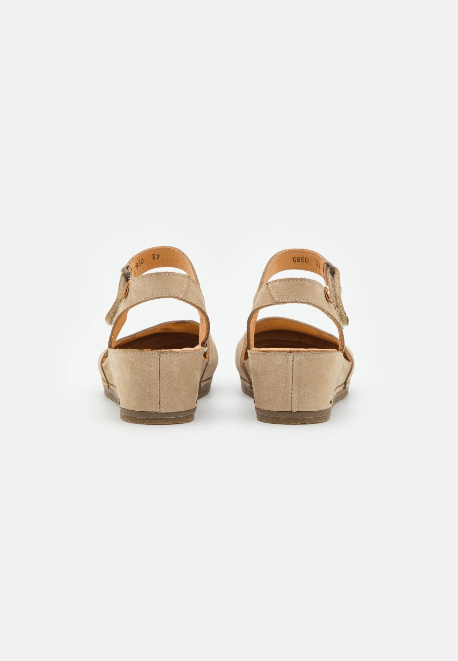 El Naturalista Picual - Sleehakken - Piedra 4 El Naturalista Picual - Sleehakken - Piedra - Afbeelding 4