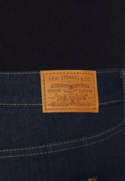 Levi's® Plus 721 Pl Hi Rise Skinny - Jeans Skinny Fit - To The Nine 9 Levi's® Plus 721 Pl Hi Rise Skinny - Jeans Skinny Fit - To The Nine -Kleding Discount Winkel 6f1c77fb124249b793d04c81ce4331e1